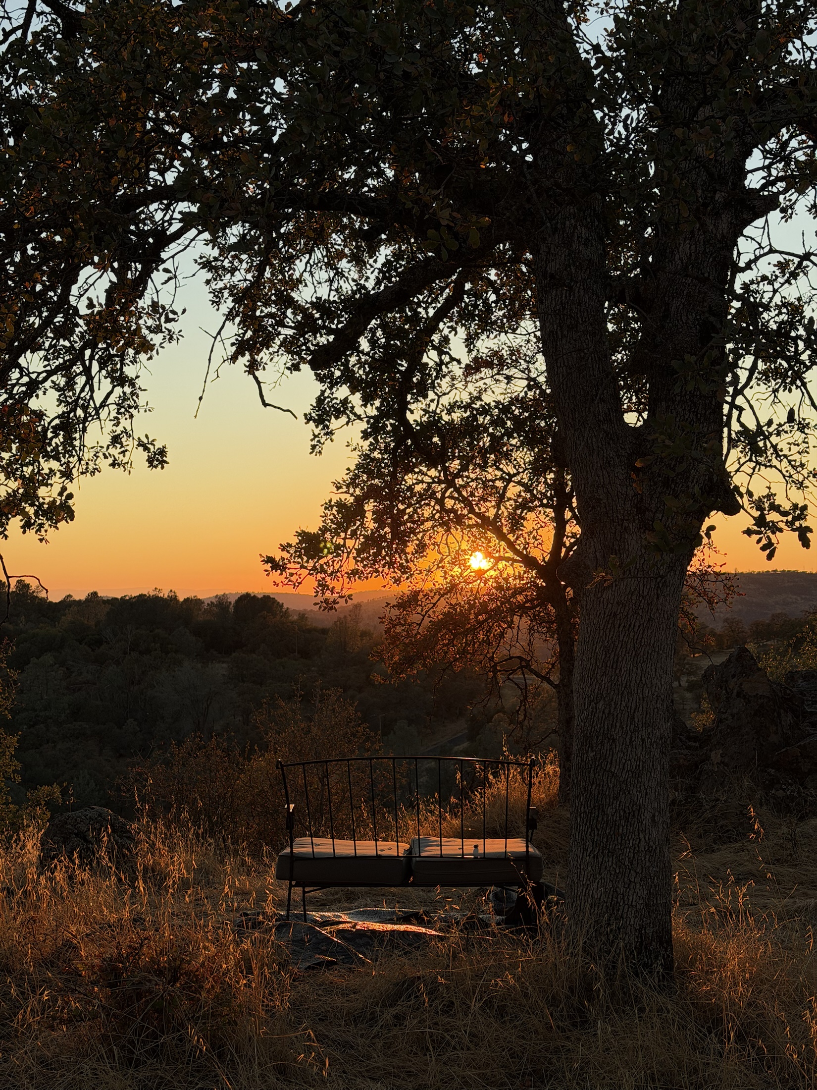 A bench beneath trees at sunset