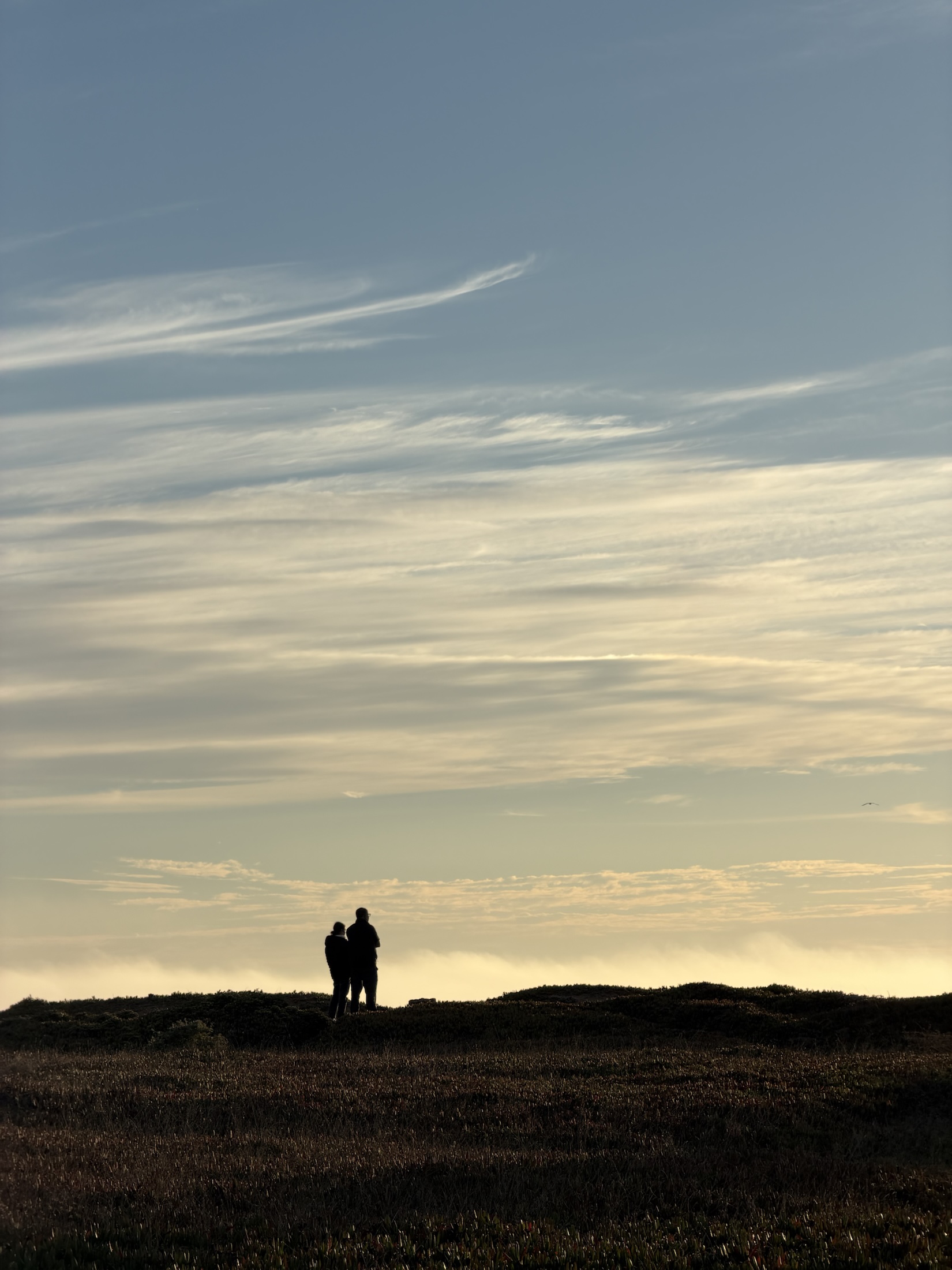 Two figures looking out over the ocean at dusk